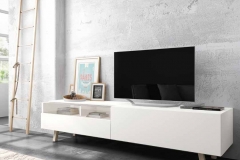 tv natur_ant (3)